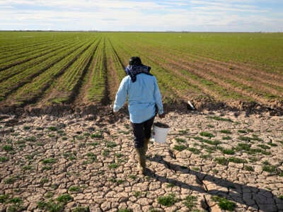 Farmhand Adrian Gonzalez works in a field of newly planted alfalfa in California’s Imperial Valley. The valley depends solely on the Colorado River for its surface water supply.