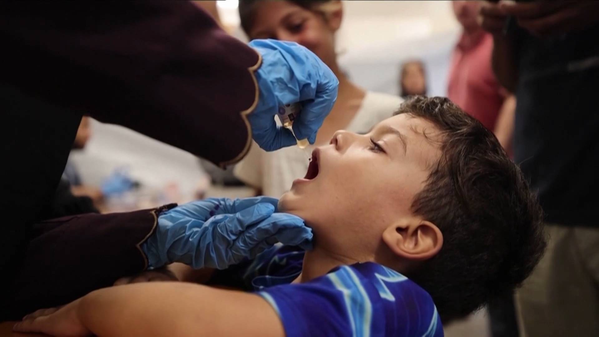 Aid Workers Administer Polio Vaccines in Gaza During Pauses in Israeli Attacks