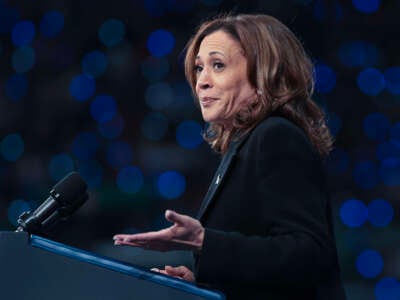 Democratic presidential nominee, Vice President Kamala Harris speaks at a campaign rally at the Greensboro Coliseum on September 12, 2024, in Greensboro, North Carolina.