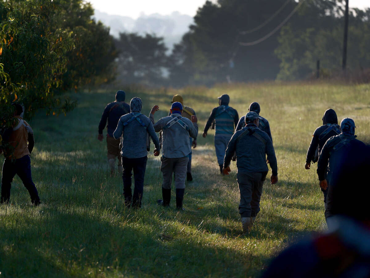 Hit Hard by Hurricane Helene, Georgia’s Farmworkers Struggle to Get Aid