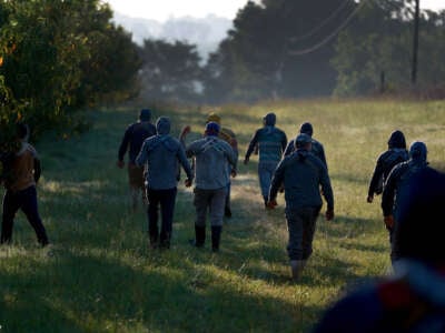 Workers prepare to pick peaches from the last crop of the season off the trees at Pearson Farm on July 24, 2023, in Fort Valley, Georgia.