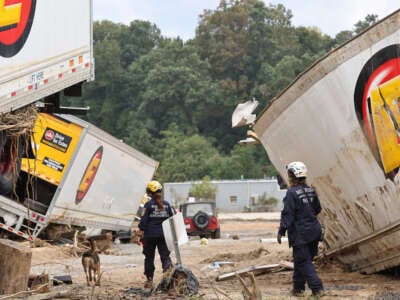 Members of the FEMA Urban Search and Rescue Task Force search a flood damaged area with a search canine in the aftermath of Hurricane Helene along the Swannanoa River on October 4, 2024, in Asheville, North Carolina.