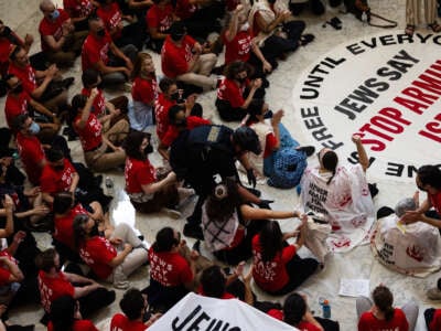 Demonstrators from Jewish Voice for Peace protest Israel's genocidal war on Gaza at the Cannon House Office Building on July 23, 2024, in Washington, D.C.