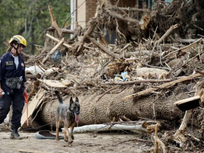 A member of the FEMA Urban Search and Rescue Task Force searches a flood-damaged property with a search canine in the aftermath of Hurricane Helene along the Swannanoa River on October 4, 2024, in Asheville, North Carolina.