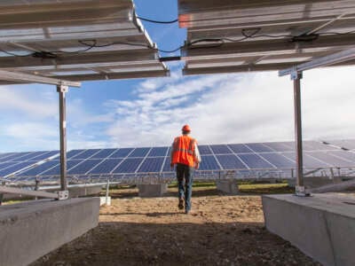 Worker walks in solar farm