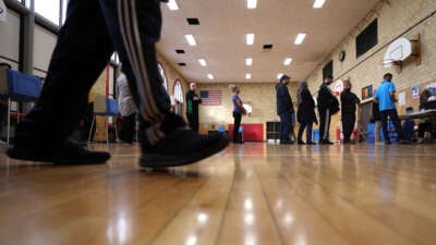 Voters wait in line to vote at the Lowrey School on November 5, 2024, in Dearborn, Michigan.