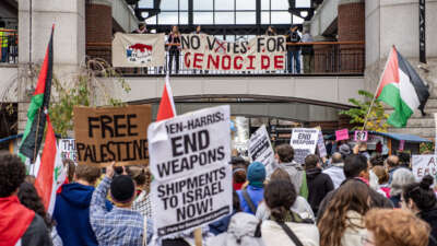 Pro-Palestinian demonstrators gather at Faneuil Hall Marketplace during a "No Votes for Genocide" rally organized by the Boston Coalition for Palestine ahead of the U.S. general election, in Boston, Massachusetts, on November 2, 2024.