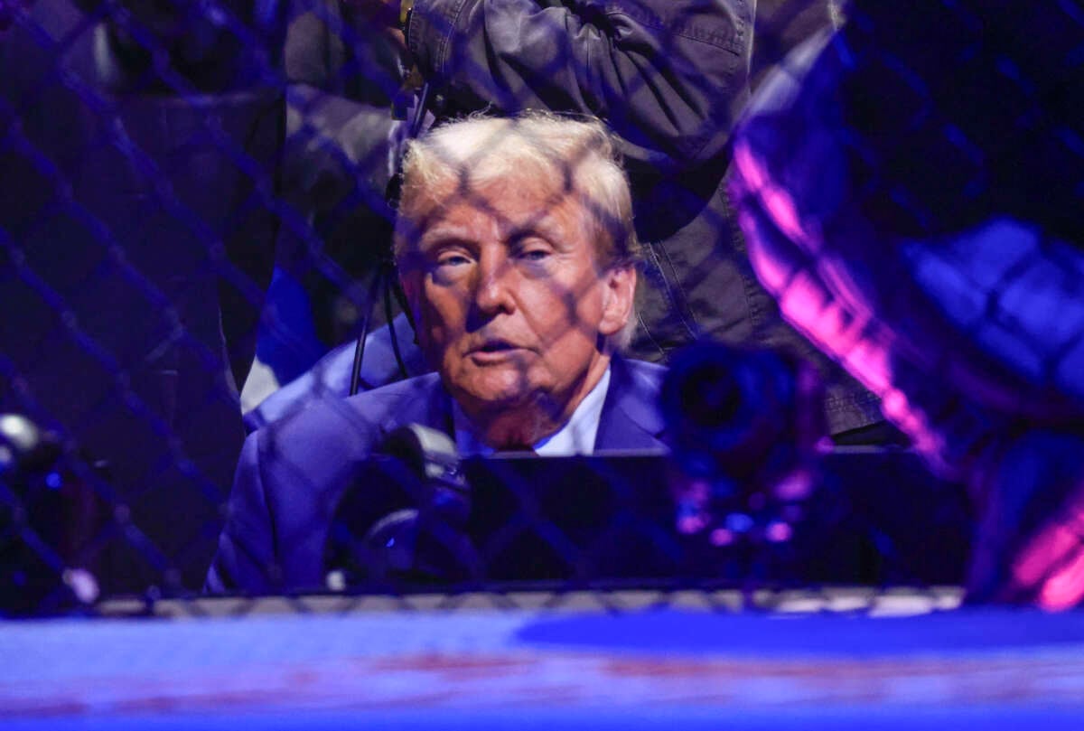 President-elect Donald Trump watches an UFC 309 fight at Madison Square Garden in New York, on November 16, 2024.