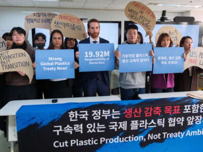 Greenpeace activists display banners in Seoul, South Korea, on November 19, 2024, ahead of the fifth session of the Intergovernmental Negotiating Committee (INC-5) to develop an international legally binding instrument on plastic pollution.