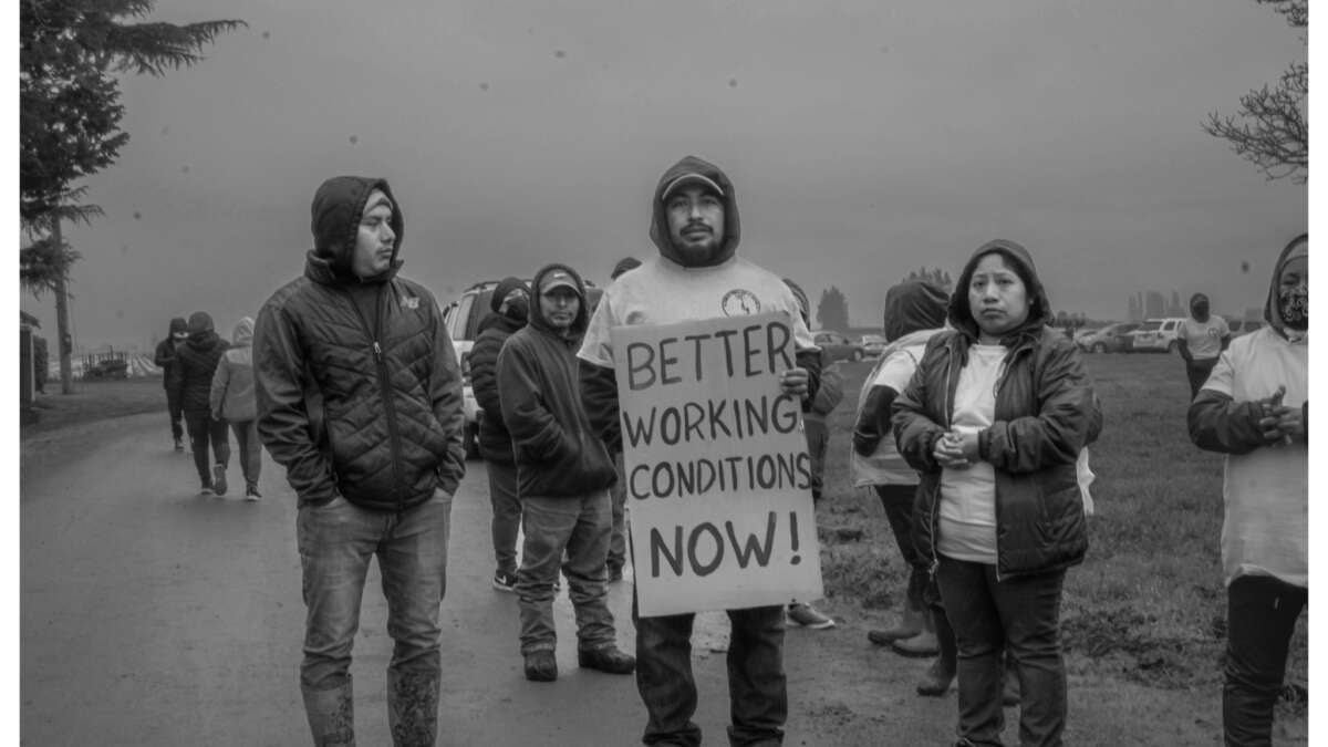 Benito Lopez, a Familias Unidas por la Justicia union member, at a picket line during a strike at a Tulip farm in Mount Vernon, Washington, in March 2022.