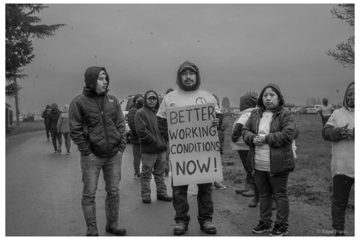 Benito Lopez, a Familias Unidas por la Justicia union member, at a picket line during a strike at a Tulip farm in Mount Vernon, Washington, in March 2022.