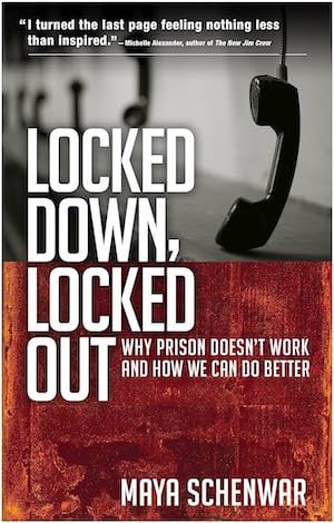 The cover image of Locked Down, Locked Out