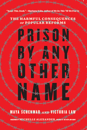 The cover image of Prison By Any Other Name