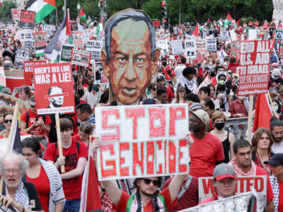 A large pro-Palestine protest takes place in a street