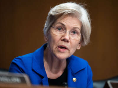 Sen. Elizabeth Warren speaks during a Senate Banking, Housing, and Urban Affairs Committee hearing in the Dirksen Building on January 11, 2024.