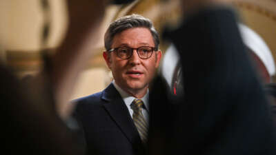 Speaker of the House Mike Johnson speaks with reporters at the U.S. Capitol, in Washington, D.C., on December 20, 2024.