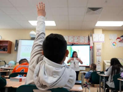 A fourth-grade dual language student raises his hand during class in Spanish on October 19, 2023, at Patterson Elementary School in Houston, Texas.