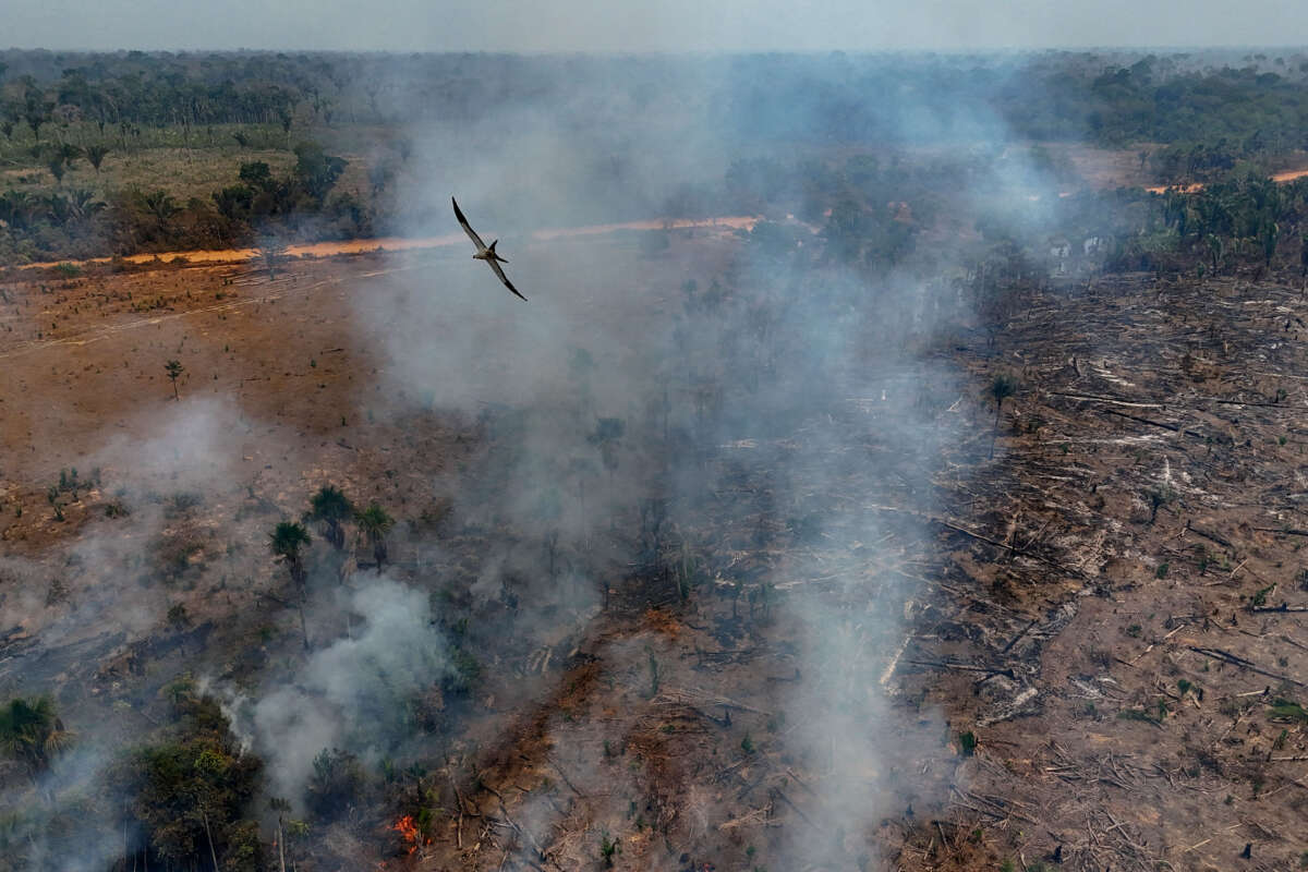 Illegal burning in the Amazon rainforest on the banks of the BR-230 highway, near the city of Humaitá, Amazonas state, northern Brazil, is seen on September 4, 2024.