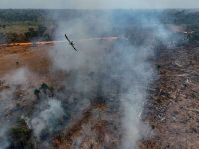 Illegal burning in the Amazon rainforest on the banks of the BR-230 highway, near the city of Humaitá, Amazonas state, northern Brazil, is seen on September 4, 2024.