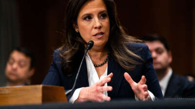 Rep. Elise Stefanik testifies before the Senate Foreign Relations Committee on her nomination to be Ambassador to the United Nations on Capitol Hill on January 21, 2025, in Washington, D.C.