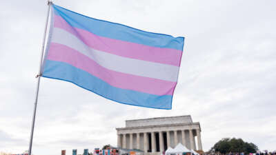 A person waves a transgender pride flag during the People's March and rally to the Lincoln Memorial in Washington, D.C., on January 18, 2025.