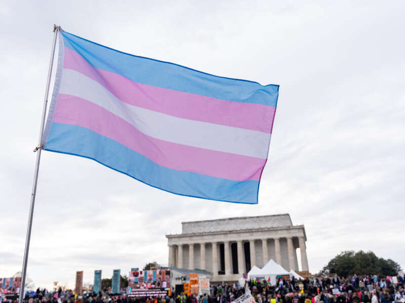 A person waves a transgender pride flag during the People's March and rally to the Lincoln Memorial in Washington, D.C., on January 18, 2025.