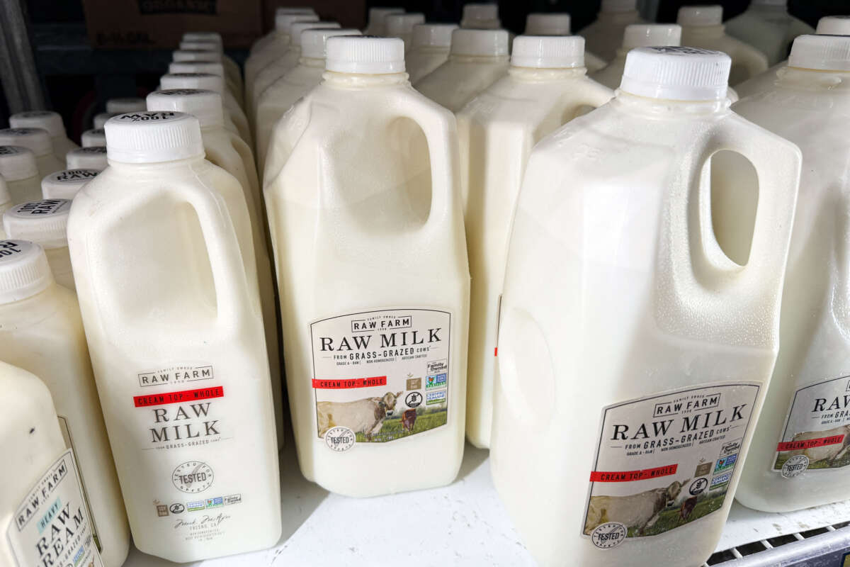 Raw milk from Raw Farm is displayed for sale at a grocery store on November 29, 2024, in Torrance, California.