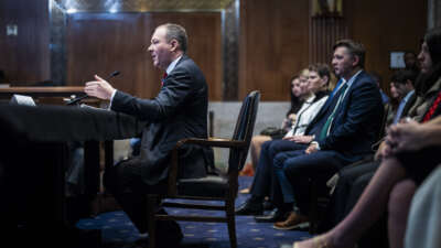 Lee Zeldin, President-elect Donald Trump's nominee to be administrator of the Environmental Protection Agency, speaks during his Senate Environment and Public Works confirmation hearing on Capitol Hill on January 16, 2025, in Washington, D.C.