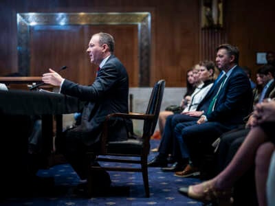 Lee Zeldin, President-elect Donald Trump's nominee to be administrator of the Environmental Protection Agency, speaks during his Senate Environment and Public Works confirmation hearing on Capitol Hill on January 16, 2025, in Washington, D.C.