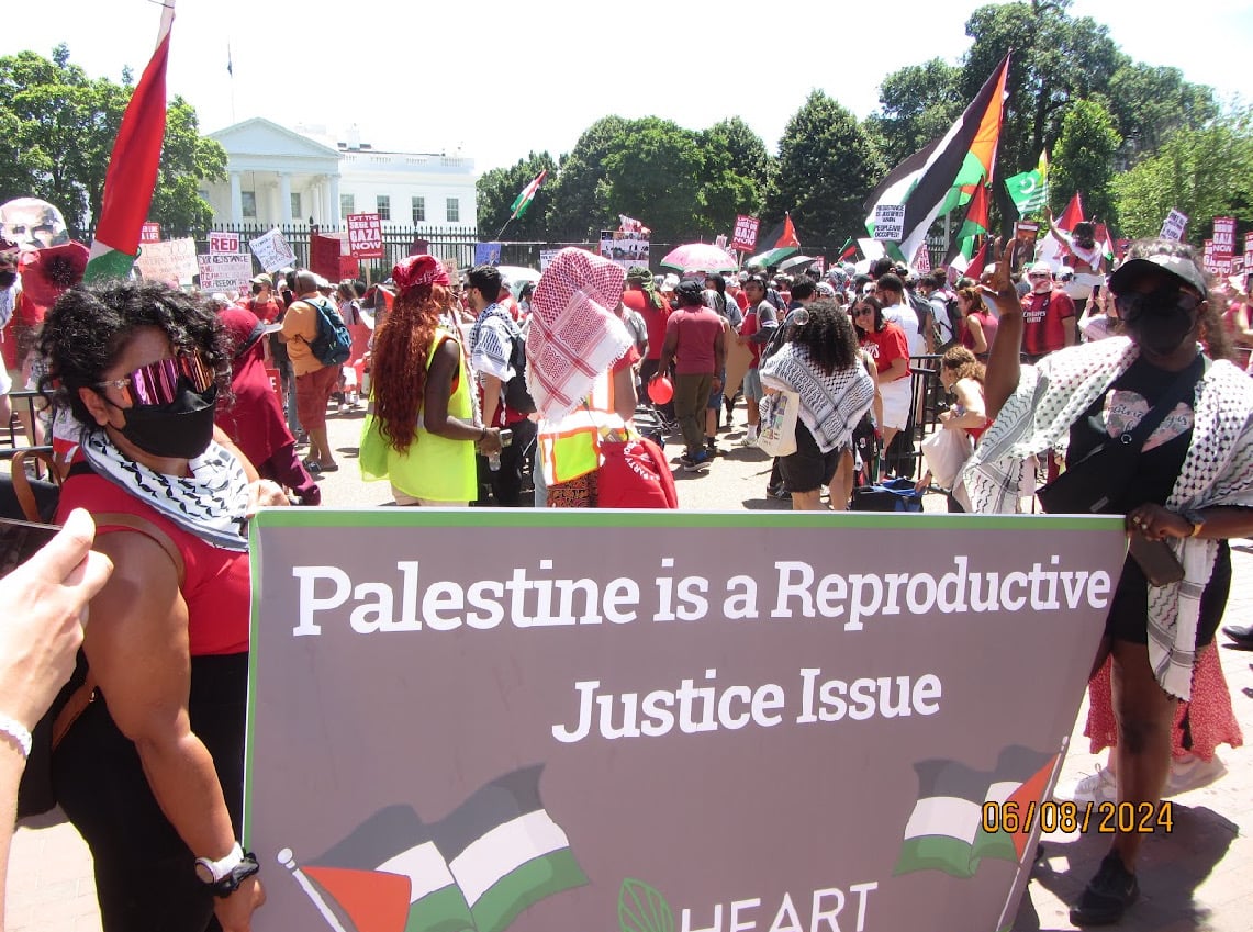 Navila Rashid and Dr. Haddi Ceesay, co-authors of HEART’s publication, “The Sex Talk” hold HEART’s sign at a “Shutdown DC for Palestine” protest in Washington, D.C., on June 8, 2024.