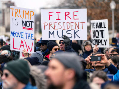 A protester holds a sign reading "FIRE PRESIDENT MUSK" during an outdoor demonstration