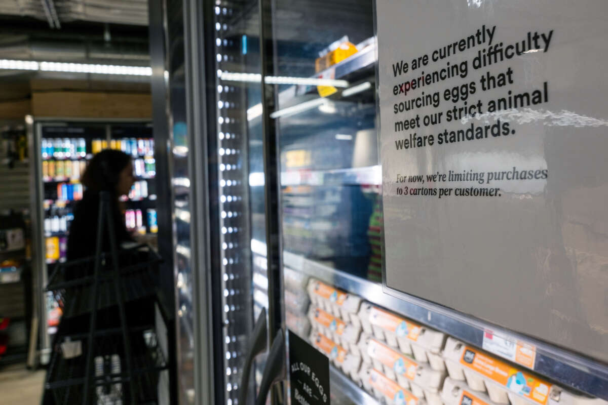 Cartons of eggs are displayed at a grocery store with a warning that limits will be placed on purchases as bird flu continues to affect the egg industry on February 10, 2025, in New York City.