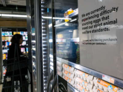 Cartons of eggs are displayed at a grocery store with a warning that limits will be placed on purchases as bird flu continues to affect the egg industry on February 10, 2025, in New York City.