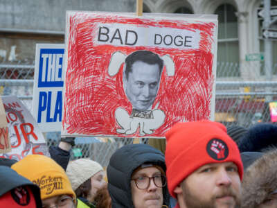 A sign reading Bad DOGE with Elon Musk's face over an illustration of a dog is seen at a protest against Elon Musk's DOGE efforts