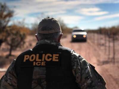 U.S. Special Agent Rodney Irby waits for backup agents while searching for smuggled marijuana on January 18, 2011, in the Tohono O'odham Nation, Arizona.