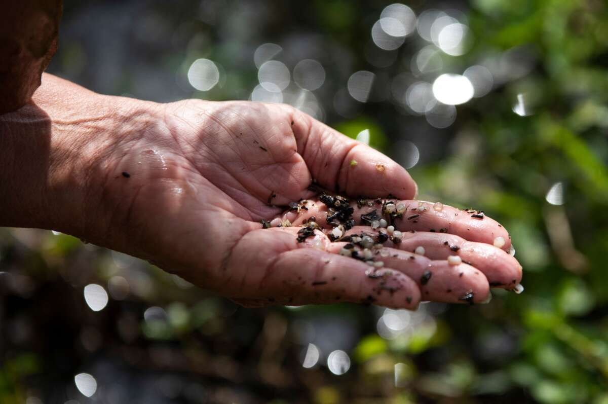 Diane Wilson holds up plastic pieces she pulled from dirt on the bank of a waterway outside the Formosa Plastics plant in Point Comfort, Texas, on November 3, 2021.