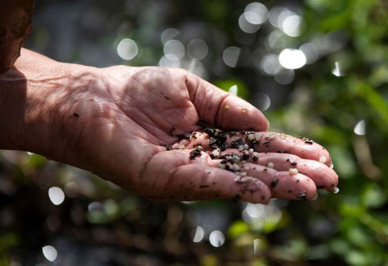 Diane Wilson holds up plastic pieces she pulled from dirt on the bank of a waterway outside the Formosa Plastics plant in Point Comfort, Texas, on November 3, 2021.