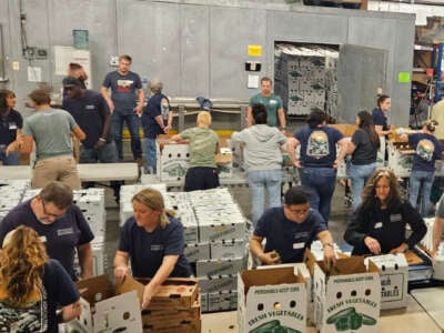 People prepare harvest food boxes as part of the work of Appalachian Sustainable Development.