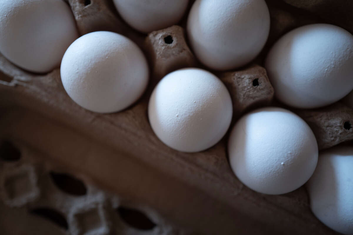 Eggs are displayed in an egg carton on March 12, 2025, in Chicago, Illinois.