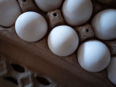 Eggs are displayed in an egg carton on March 12, 2025, in Chicago, Illinois.