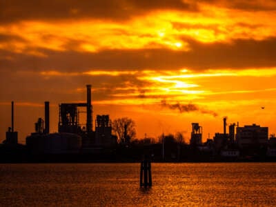 a wood-processing industrial plant against the setting sun