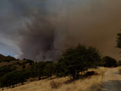 Smoke rises from a hillside as the Gifford Fire burns on August 6, 2025, in Los Padres National Forest, California.