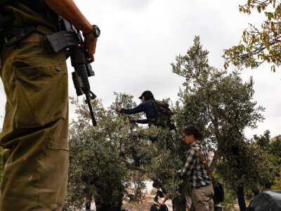 An Israeli soldier watches as activists help villagers to pick olives in the village of Edna, north of the occupied West Bank city of Hebron, during the olive harvesting season, on October 12, 2025.