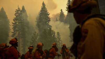 Incarcerated firefighters from the Antelope Conservation Camp wait for their next assignment as they work to contain the Dixie Fire among burning trees on August 18, 2021, in the Plumas National Forest near Janesville, California.