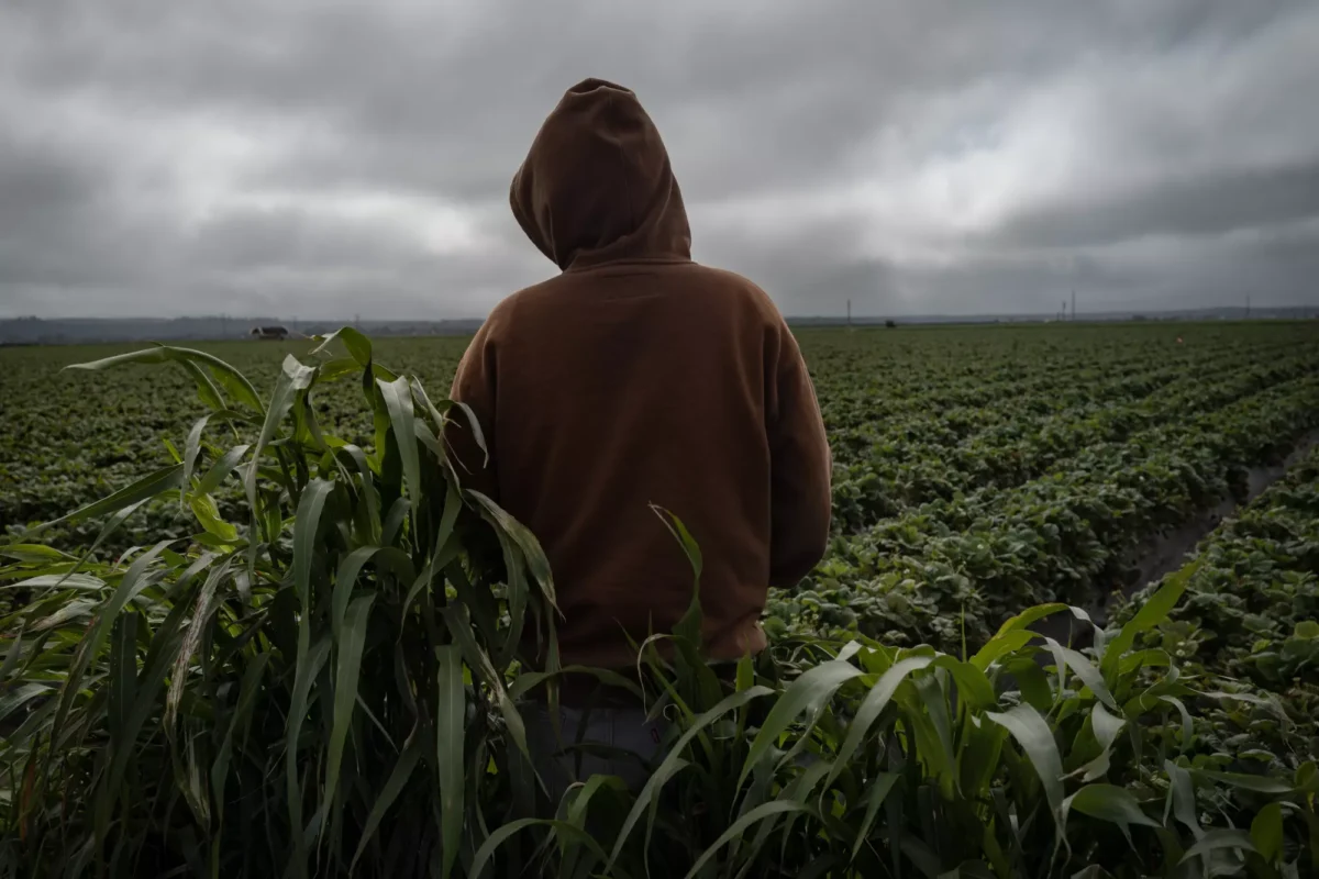 After a day of working in the fields, this 17-year-old relaxes by rows of strawberries in the Salinas Valley, renowned as the “Salad Bowl of the World.”