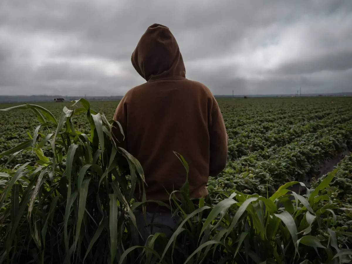 California Is Failing to Protect Health and Safety of Child Farmworkers