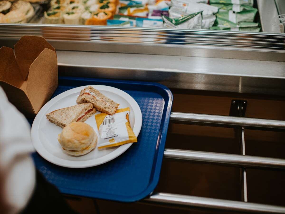 Colorado Passes Measures to Feed All Public School Kids by Taxing the Wealthy
