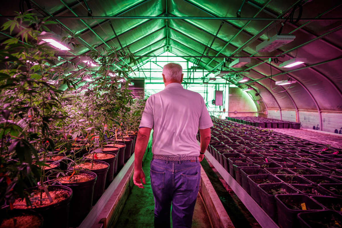 Brant Smith, a hemp farmer in Cheshire, Connecticut.