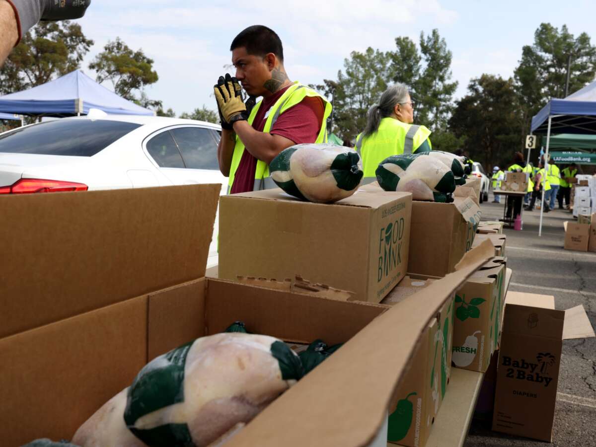 Trump SNAP Plan Will Cut 61 Percent of Aid for Many, Others Will Lose All Aid