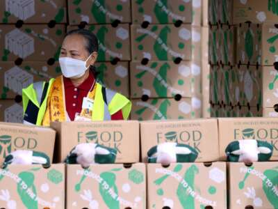 A volunteer waits for drivers surrounded by boxes of free food at a drive through food distribution site provided by LA Food Bank at the Industry Hills Expo Center in the City of Industry, California, on November 5, 2025.